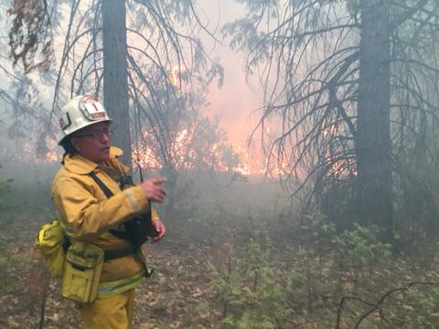 LAFD Battalion Chief at a wildfire
