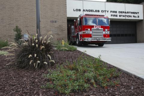 Front view of fire station 3 with drought resistant plants