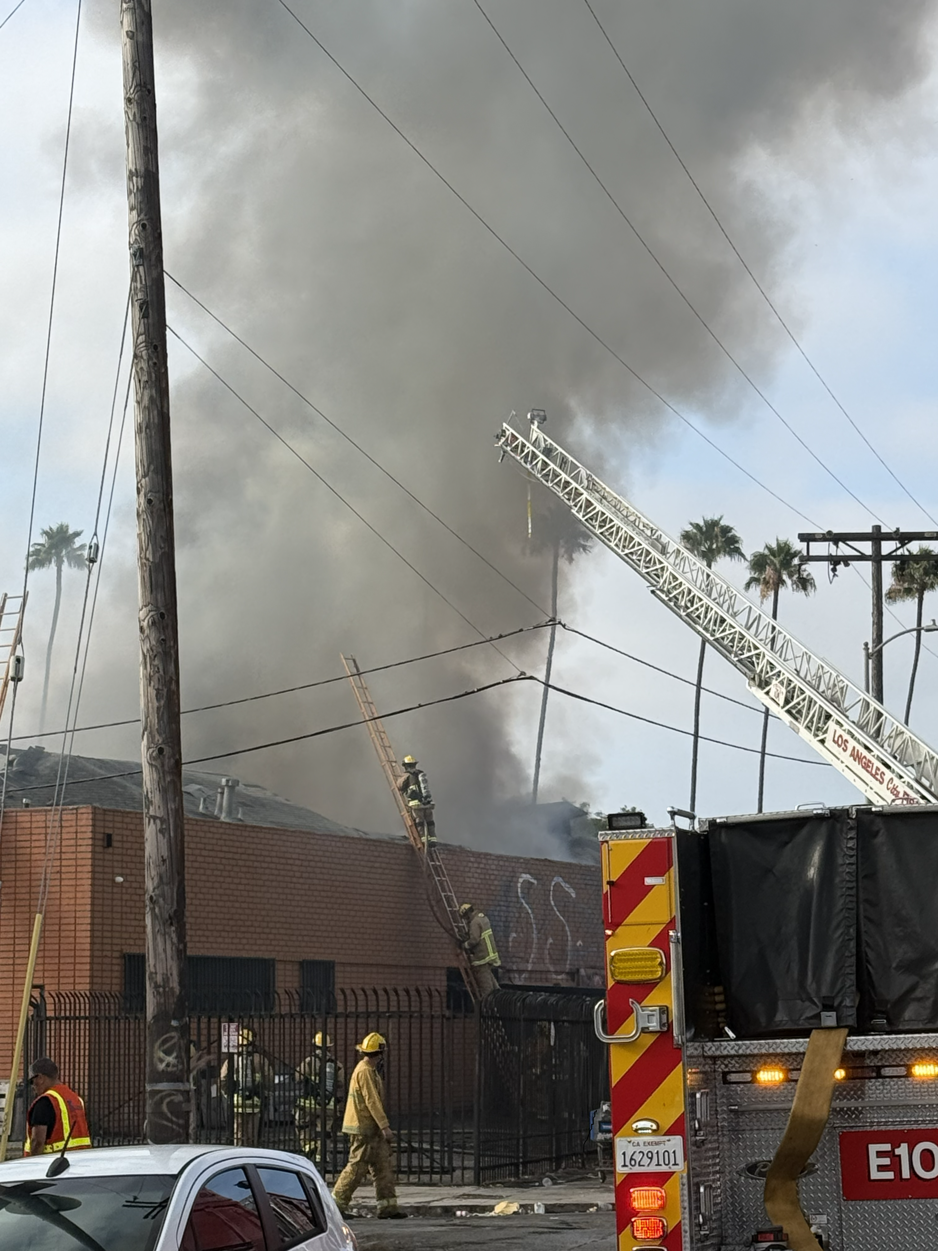 LAFD firefighters laddering the side of a 1 story commercial building to apply water from a fire hose onto the fire in a defensive fashion.
