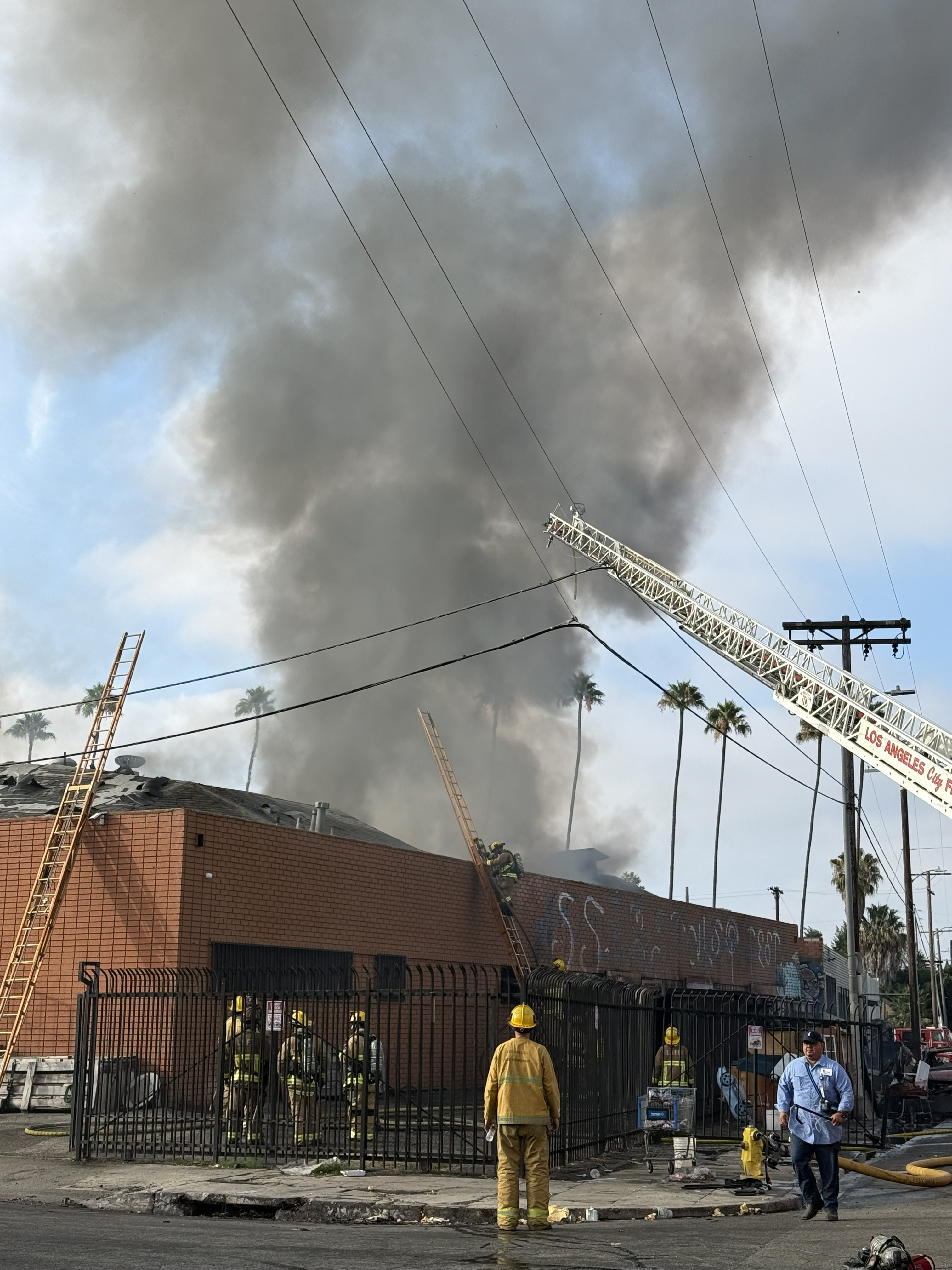 LAFD firefighters laddering the side of a 1 story commercial building to apply water from a fire hose onto the fire in a defensive fashion.