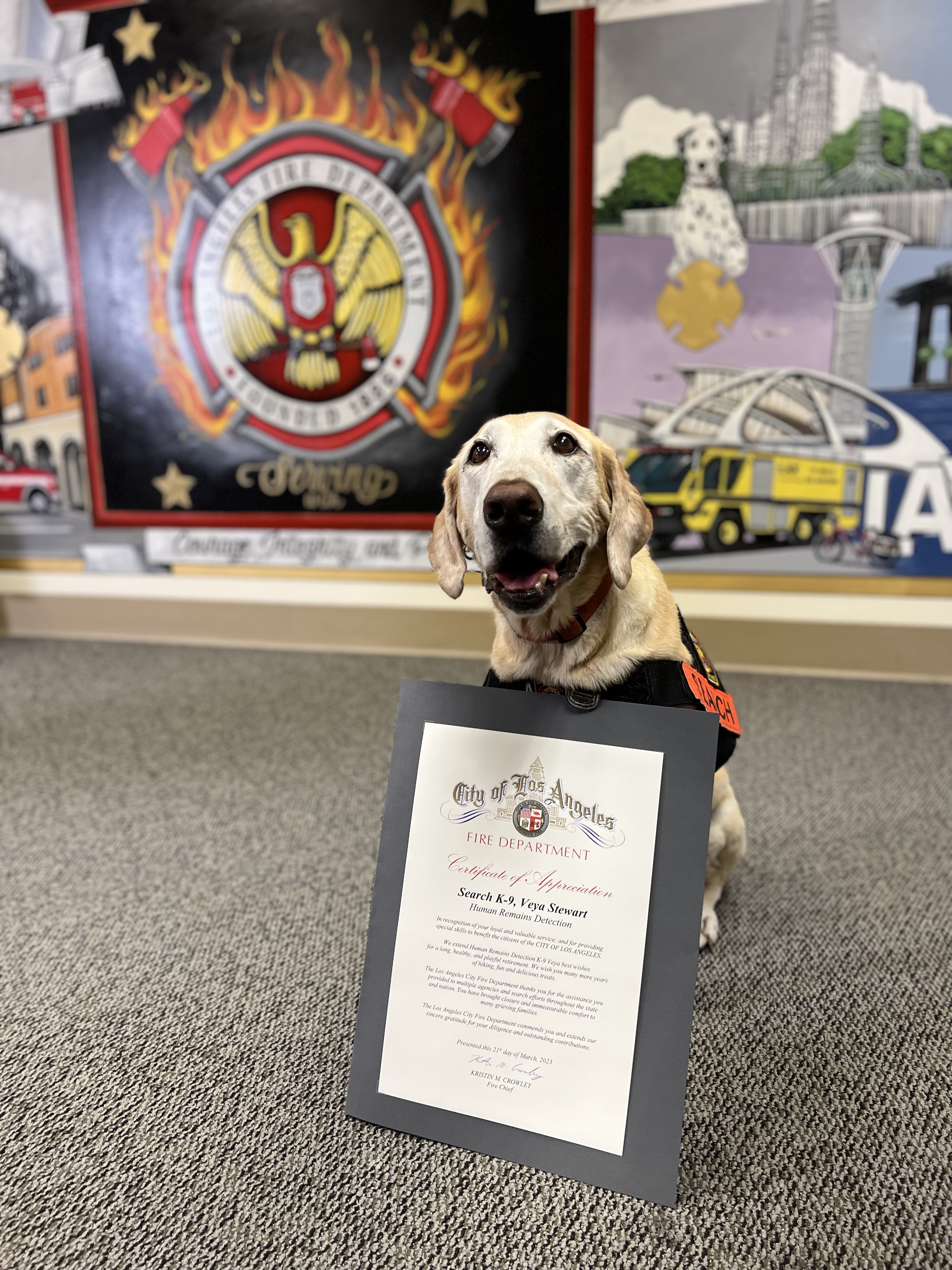 K9 Veya shown with certificate
