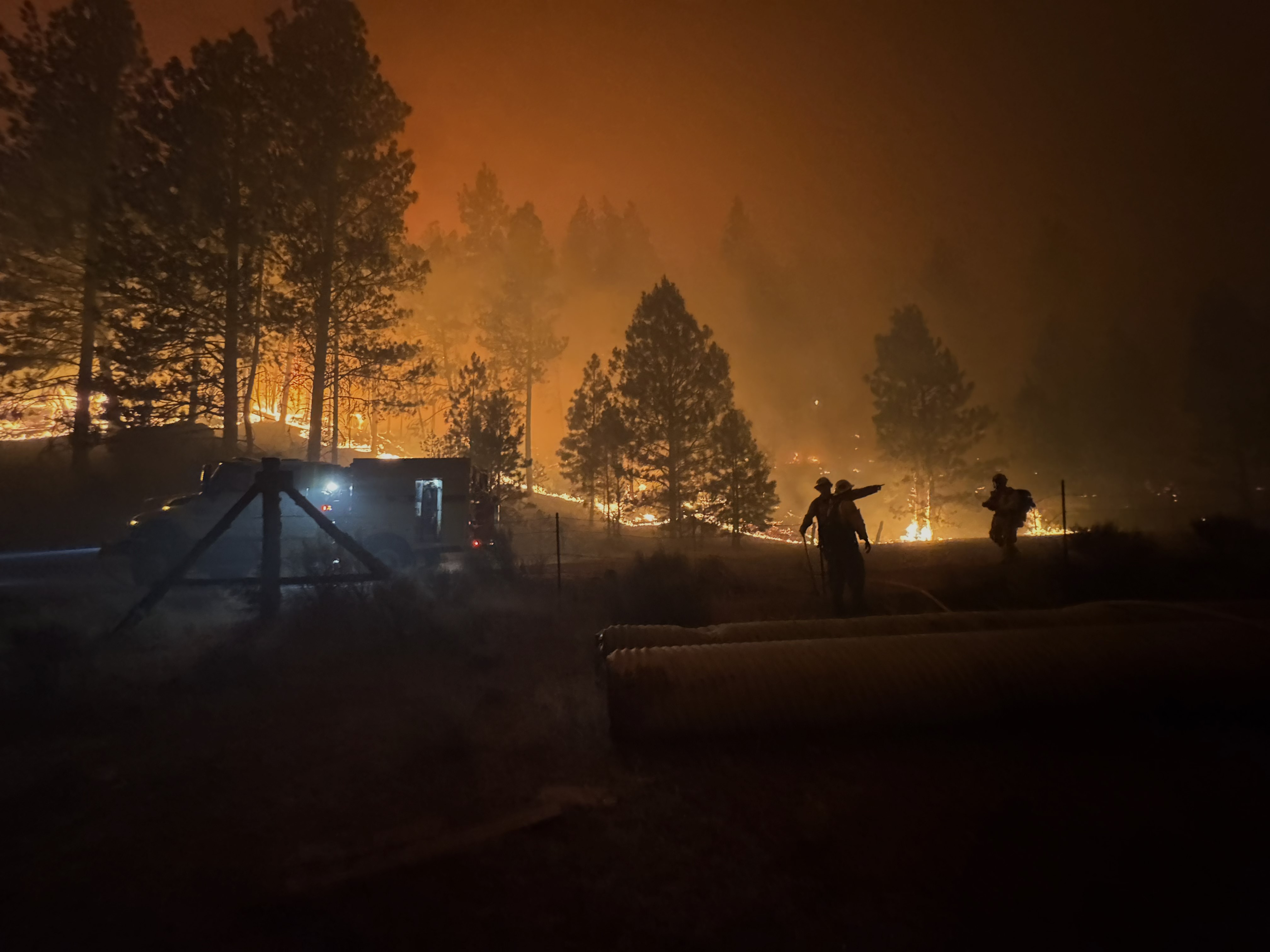 A fire in the forest at night with a fire truck and firefighters.